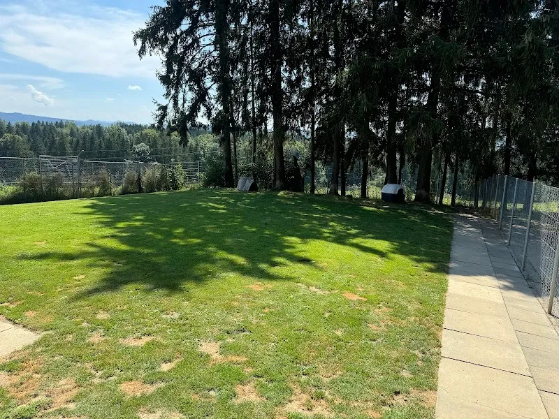 TBO Wängi — Pensione per gatti, Wängi, Turgovia. Foto 3