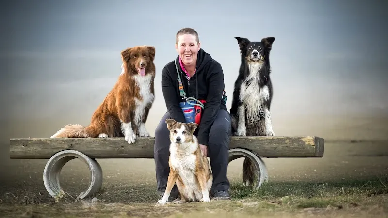 DieHundeNanny — Katzenpension in Grub, Appenzell Ausserrhoden. Bewertung 4.9/5.