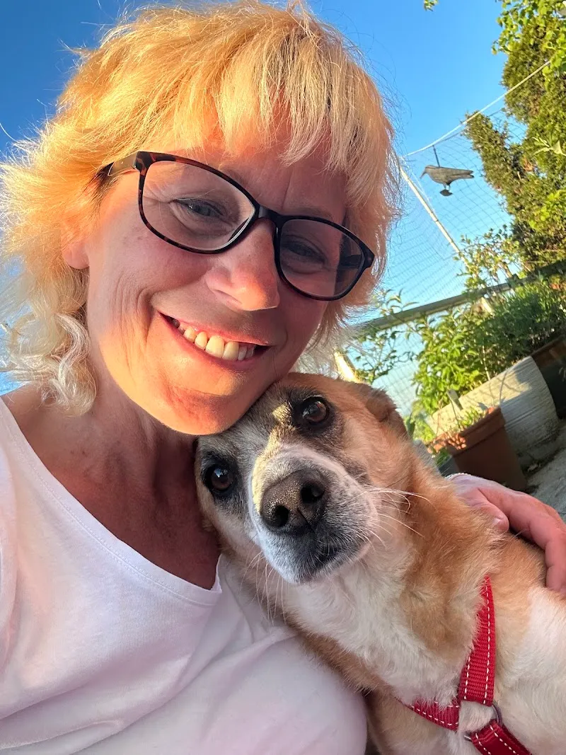 Tierhof mit Herz — Katzenpension in Winden, Thurgau. Bewertung 3.9/5.