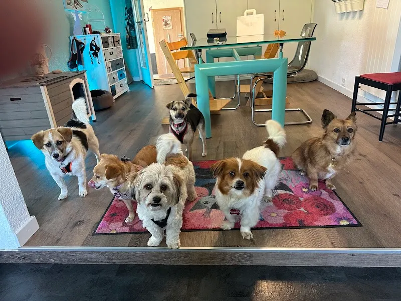 Tierhof mit Herz — Pet Service, Winden, Thurgau. Foto 3