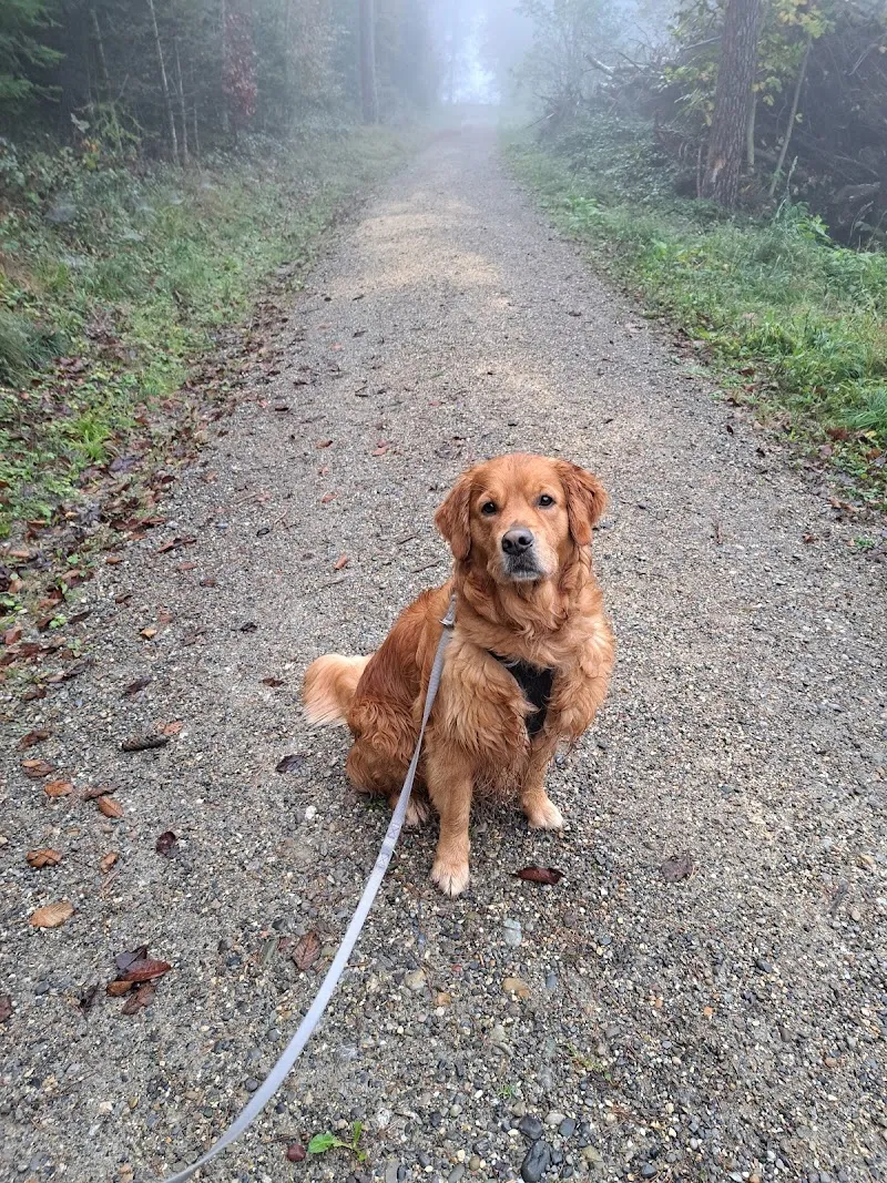 WalkwithFriends — Katzenpension in Oberuzwil, St. Gallen. Bewertung 5.0/5.