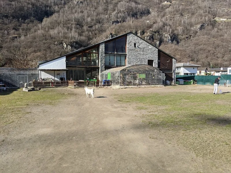 Associazione Casa Orizzonti — Pensione per gatti, Riviera, Ticino. Foto 2