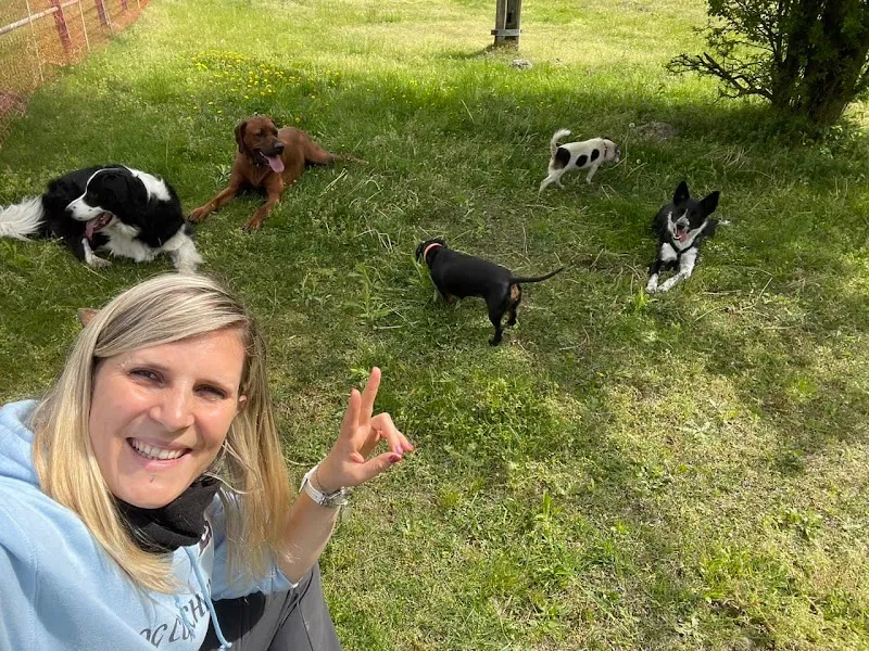 Benessere animale di Daniela Gentile Dipl.Federale Guardiana di animali — Katzenpension in Sant'Antonino, Tessin. Bewertung 4.4/5.