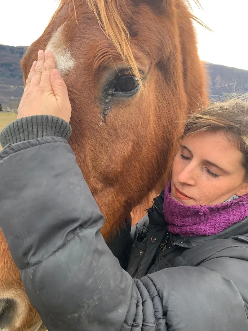 Benessere animale di Daniela Gentile Dipl.Federale Guardiana di animali — Katzenpension, Sant'Antonino, Tessin. Foto 3