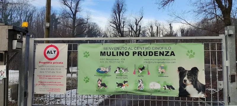 Centro Cinofilo Mulino Prudenza — Katzenpension in Novazzano, Tessin. Bewertung 4.8/5.