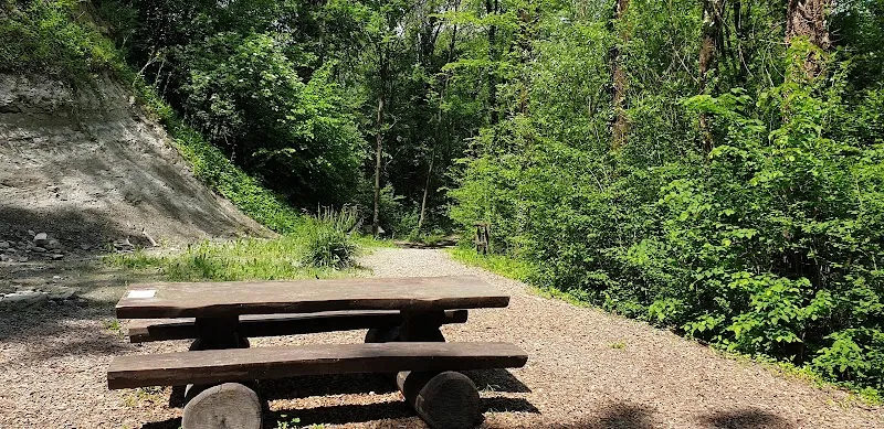 Centro Cinofilo Mulino Prudenza — Pensione per gatti, Novazzano, Ticino. Foto 2