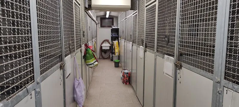 Centro Cinofilo Mulino Prudenza — Pensione per gatti, Novazzano, Ticino. Foto 3