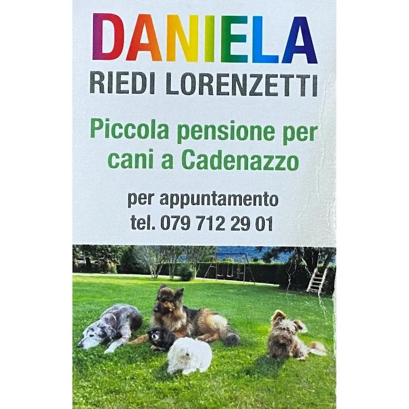 Daniela Riedi Lorenzetti - Piccola pensione per cani — Katzenpension in Cadenazzo, Tessin. Bewertung 3.7/5.