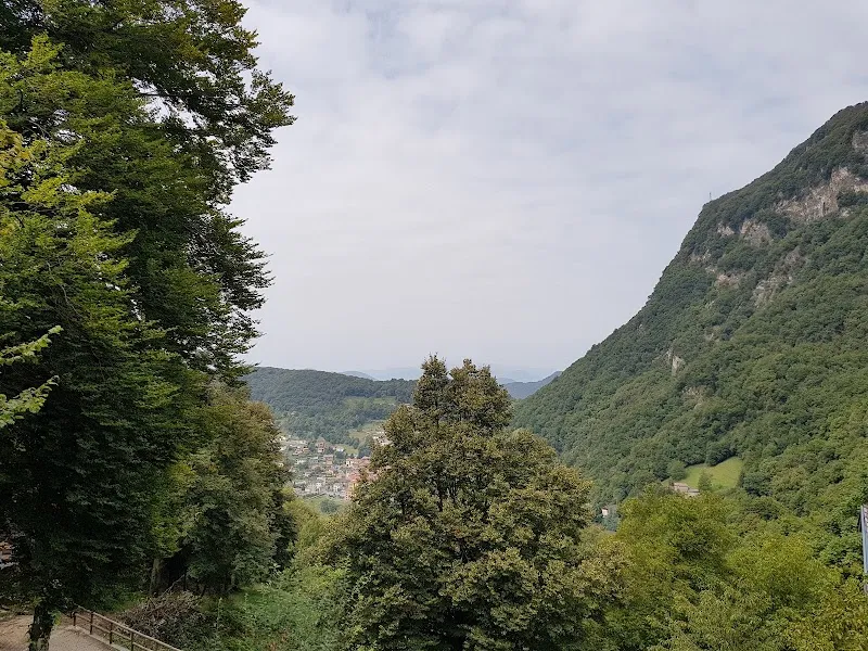 Doggy Days — Katzenpension in Arogno, Tessin. Bewertung 4.3/5.