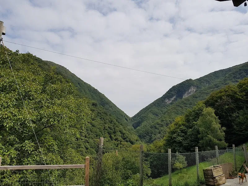 Doggy Days — Pension pour chats, Arogno, Tessin. Foto 2