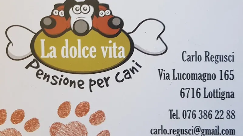 La Dolce Vita — Katzenpension in Lottigna, Tessin. Bewertung 4.3/5.