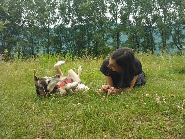 MondoCane - VitadaGatti — Katzenpension in Gnosca, Tessin. Bewertung 5.0/5.