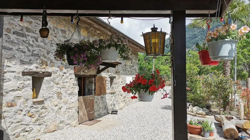 Paradiso dei Cani Sagl — Katzenpension in Medeglia, Tessin. Bewertung 4.9/5.