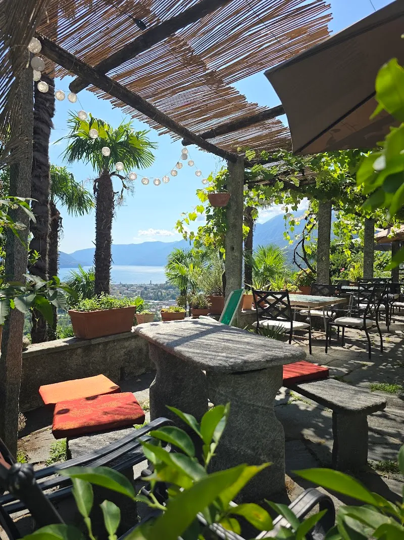 Pensione Olanda — Pension pour chats, Locarno, Tessin. Foto 3