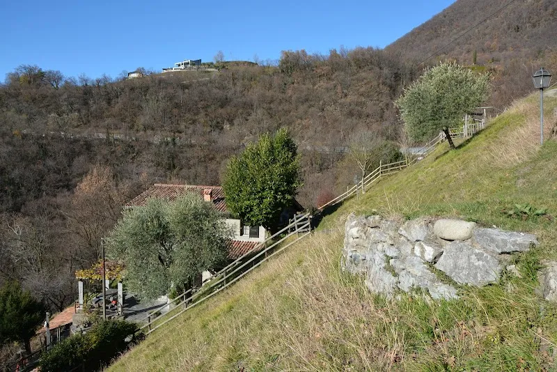 Pensione per cani Parco della Breggia — Katzenpension in Morbio Superiore, Tessin. Bewertung 4.6/5.
