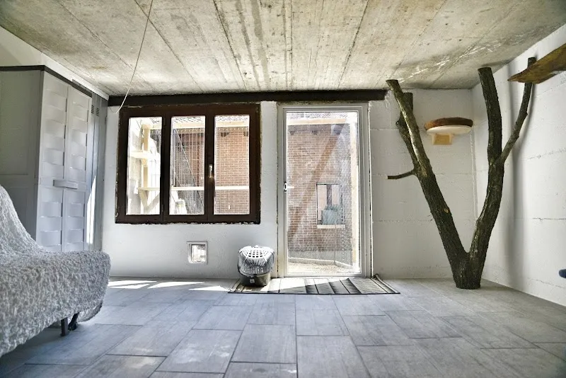Pensione per gatti — Katzenpension in Lugano, Tessin. Bewertung 5.0/5.