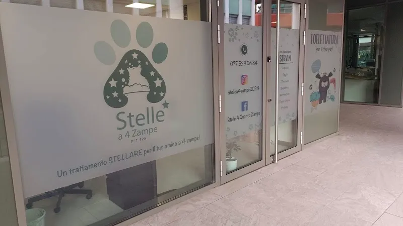 STELLE A 4 ZAMPE — Katzenpension in Chiasso, Tessin. Bewertung 5.0/5.