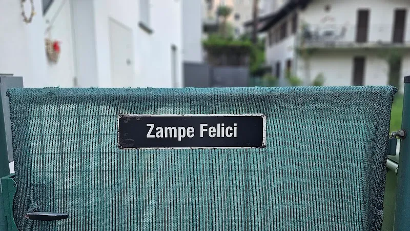 Zampe Felici Resort — Katzenpension in Losone, Tessin. Bewertung 5.0/5.