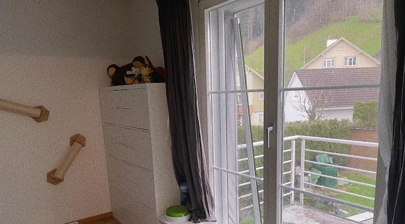 Michel p&s — Pension pour chats, Schachen bei Herisau, Appenzell Rhodes-Extérieures. Foto 3