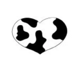 Nydegger Markus und Judith — Pensione per gatti, Hohentannen, Turgovia. Foto 2