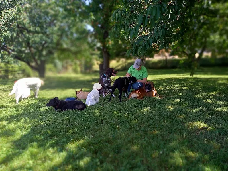 Steffis Haustier Betreuung — Katzenpension in Opfershofen, Thurgau. Bewertung 4.7/5.