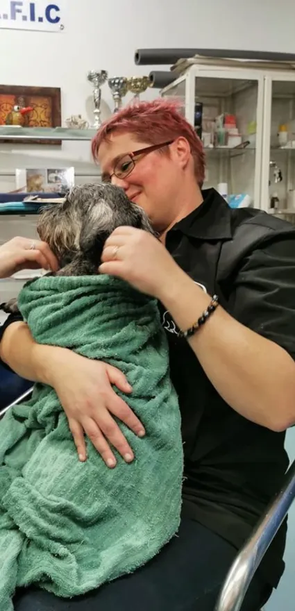 Anichablais — Katzenpension, Collombey-Muraz, Wallis. Foto 3