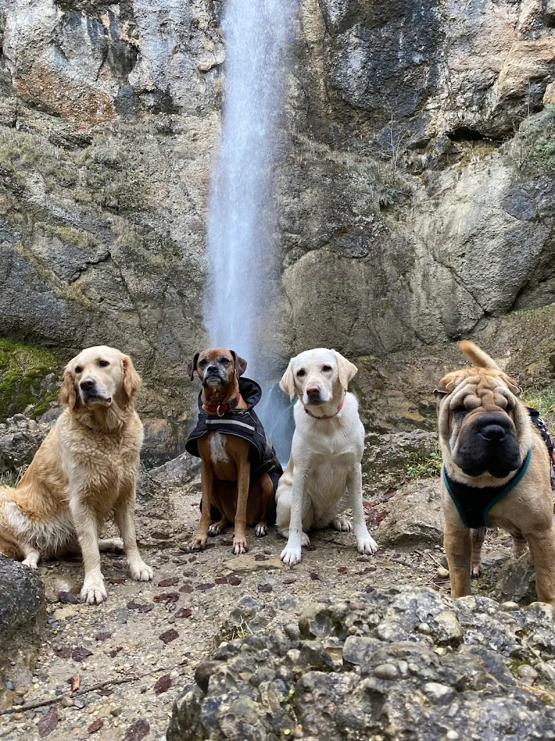 Paw and Claw - Tierbetreuung Trogen — Katzenpension, Trogen, Appenzell Ausserrhoden. Foto 2