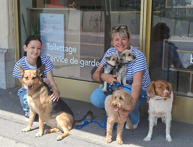 Bobby&Friends Toilettage et Gardiennage chiens et chats — Katzenpension in Montreux, Waadt. Bewertung 4.9/5.