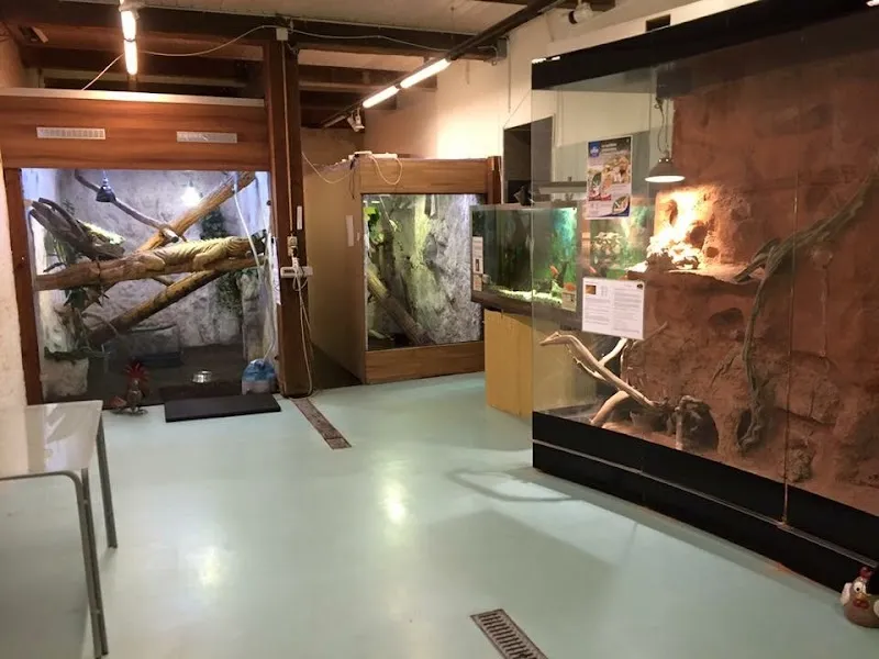 Centre Canin Mirador Sàrl — Katzenpension, Saint-Légier-La Chiésaz, Waadt. Foto 3