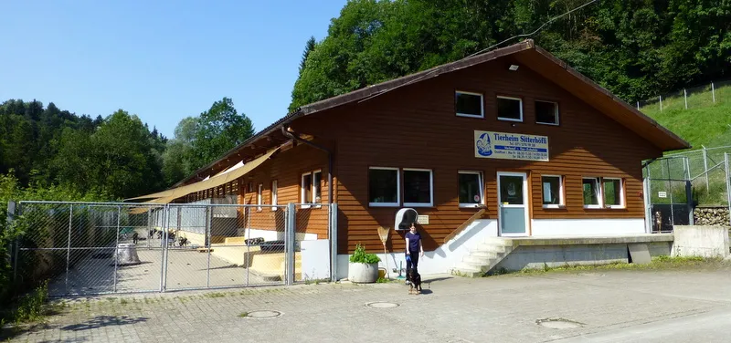 Sitterhöfli — Katzenpension, Engelburg, St. Gallen. Foto 2