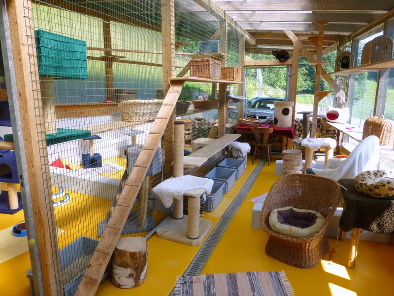 Sitterhöfli — Katzenpension, Engelburg, St. Gallen. Foto 3