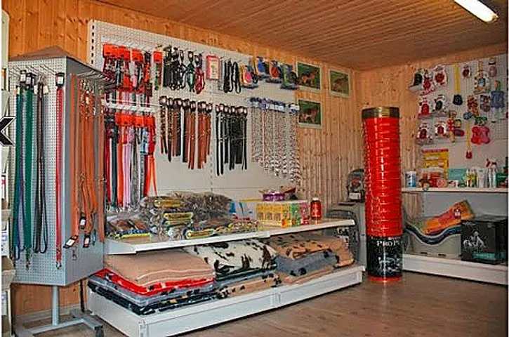 Chenil de la Pierravoir — Katzenpension, Saxon, Wallis. Foto 3