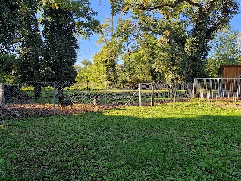 Chenil/chatterie de Bex, Elevage et pension du Rocher de l'Aigle — Pension pour chats, Bex, Vaud. Foto 2