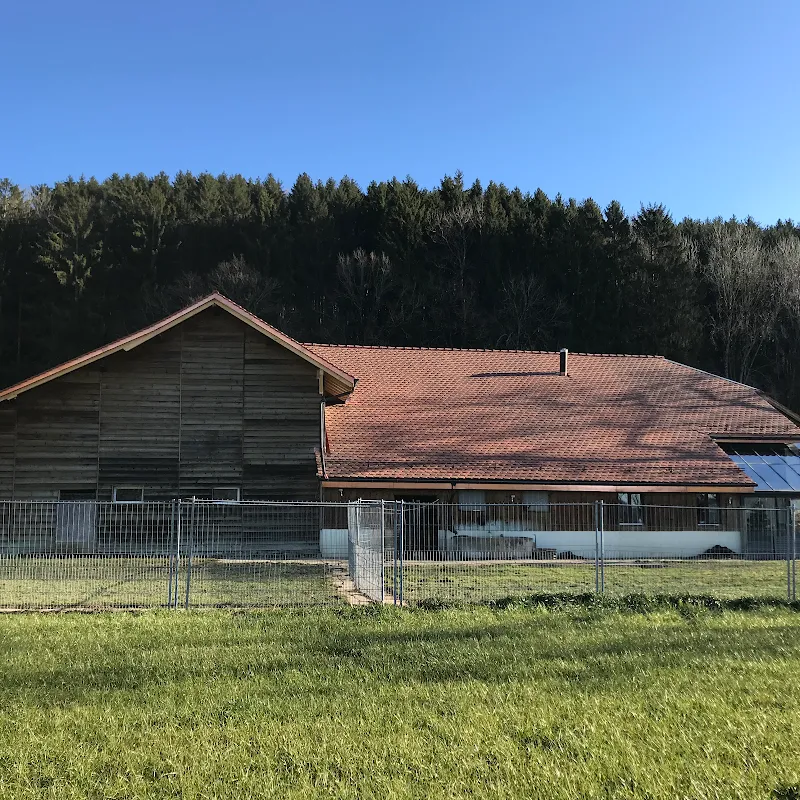 Family Dog — Pension pour chats, Forel (Lavaux), Vaud. Foto 2