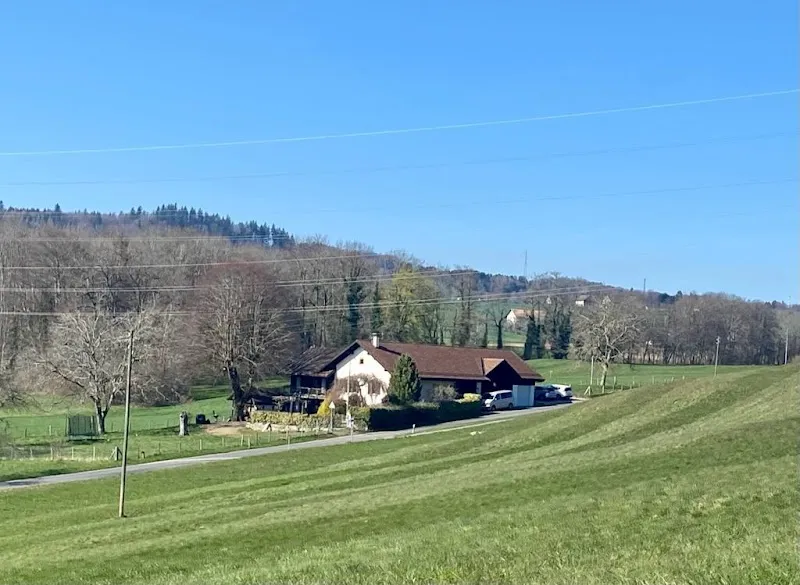 La Dolce Vita, Pension pour chiens — Pension pour chats, Aran, Vaud. Foto 2