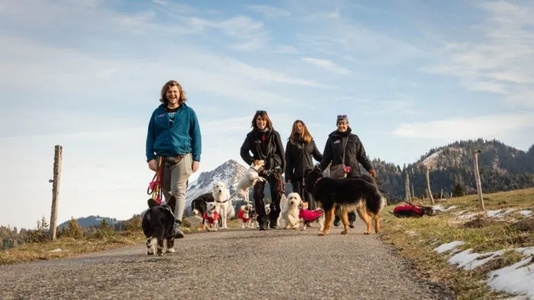 Oh Dog — Katzenpension in Chernex, Waadt. Bewertung 4.5/5.