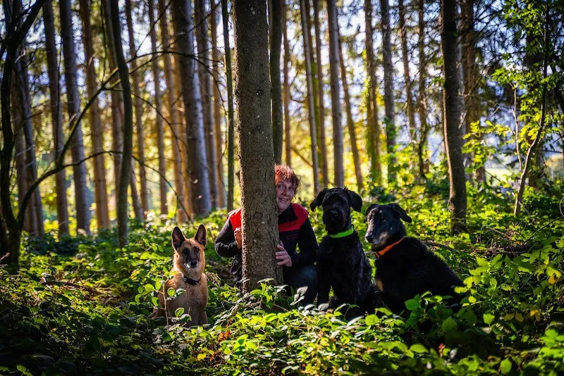 Dog Service Alpstein — Katzenpension in Gossau, St. Gallen. Bewertung 4.6/5.