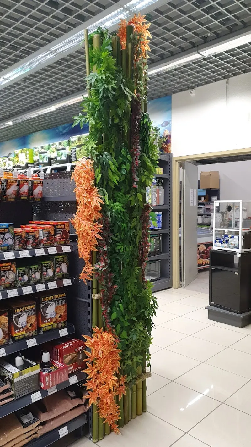 Petfriends Aigle — Katzenpension in Aigle, Waadt. Bewertung 4.6/5.