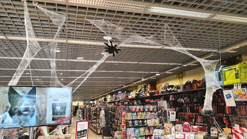 Petfriends Aigle — Katzenpension, Aigle, Waadt. Foto 2