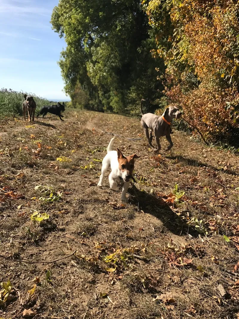 Truffes & Co. — Katzenpension in Etoy, Waadt. Bewertung 4.6/5.