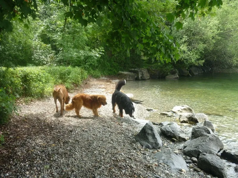 Truffes & Co. — Katzenpension, Etoy, Waadt. Foto 2