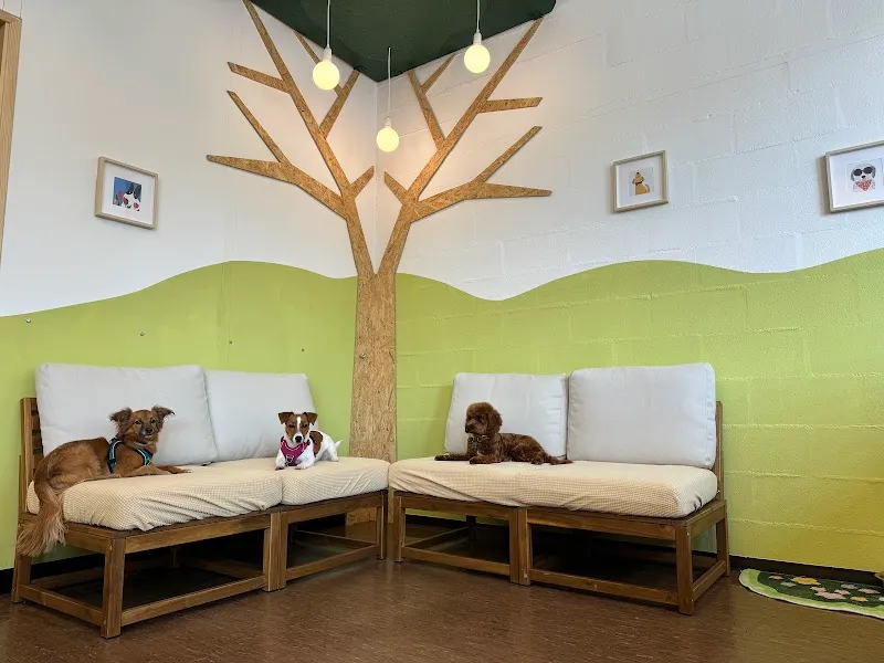 Woofy: Garderie & Pension-Hôtel pour Chien — Katzenpension in Lausanne, Waadt. Bewertung 5.0/5.