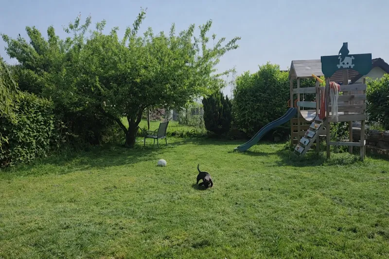 Âme de pattes — Katzenpension, Maracon, Waadt. Foto 2