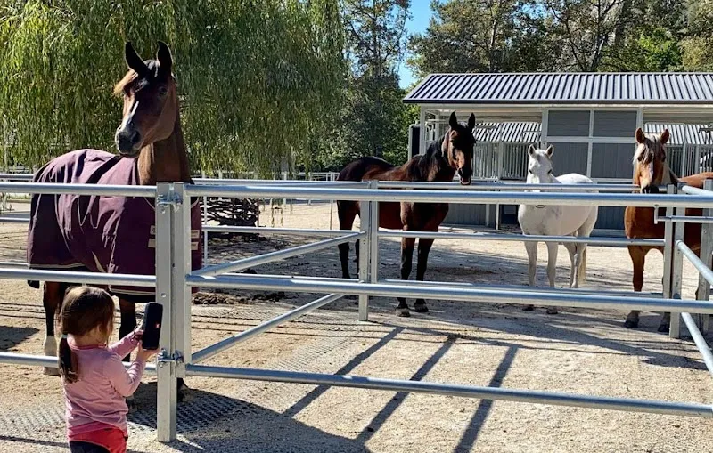 Aktivstall Aletsch — Pension pour chats, Mörel-Filet, Valais. Foto 2