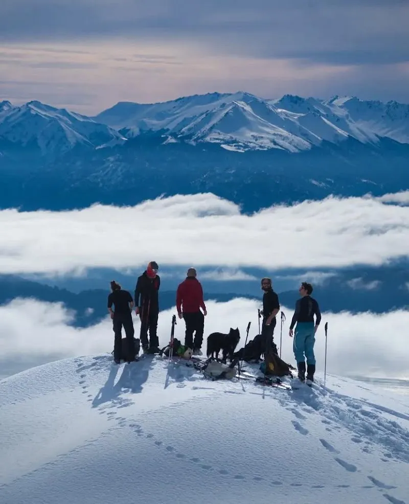 Caring for your animals — Katzenpension in Verbier, Wallis. Bewertung 5.0/5.