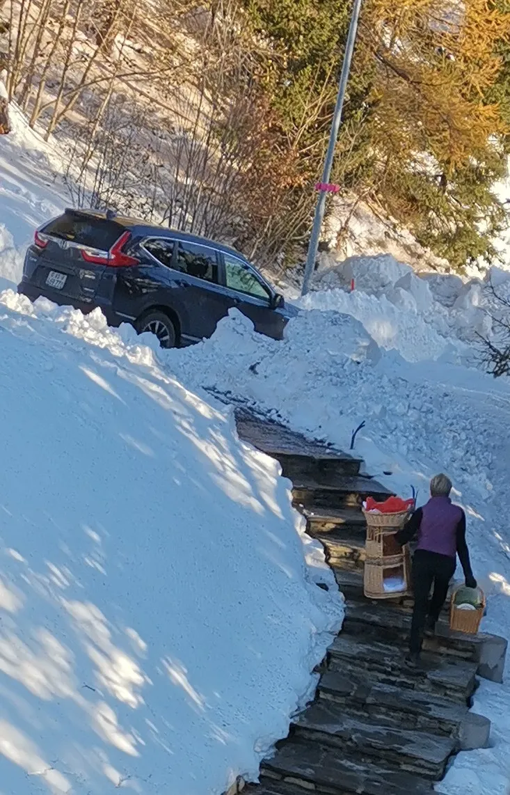 Chatvabien - Comportementaliste chat, cat sitting, Valais-Vaud — Katzenpension in Grimisuat, Wallis. Bewertung 5.0/5.