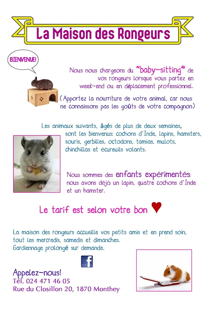 La maison des rongeurs — Katzenpension, Monthey, Wallis. Foto 3