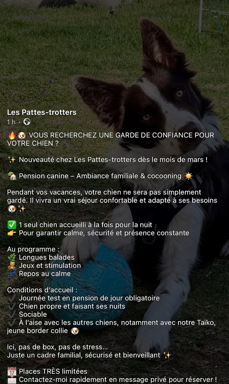 Les Pattes-Trotters — Katzenpension in Aproz, Wallis. Bewertung 5.0/5.