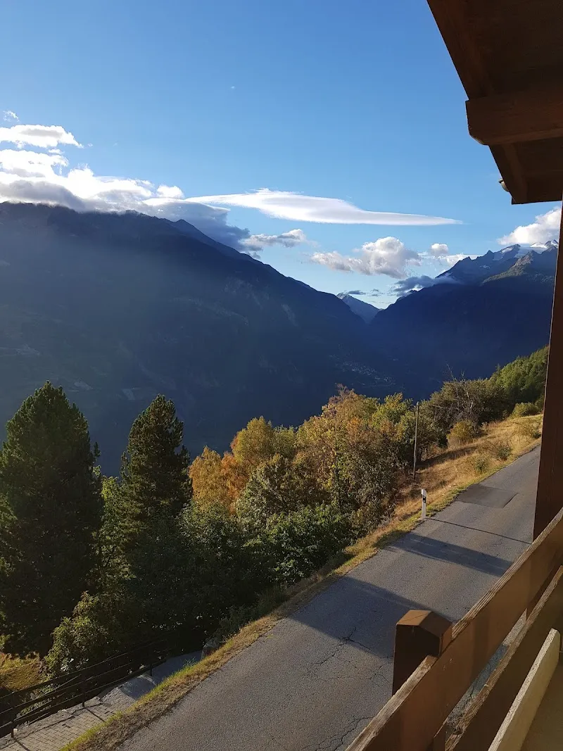 Pension Kastel — Katzenpension, Zeneggen, Wallis. Foto 3