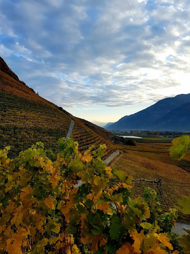 Pension-élevage du Grand Blettay — Katzenpension in Fully, Wallis. Bewertung 4.5/5.